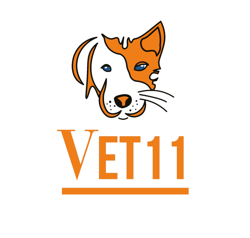 Vet11 Veteriner Kliniği